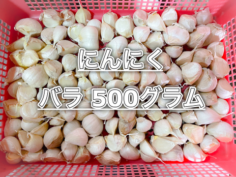 風味抜群！ぎゅっと詰まった乾燥ニンニク　ばら　500グラム