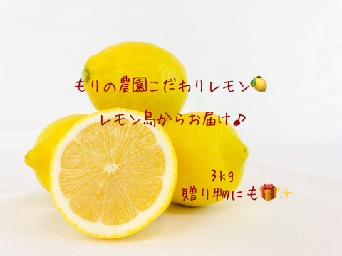 【生産量第1位】こだわりの安心完熟レモン3kg贈り物にも👑◉ワックス防腐剤不使用