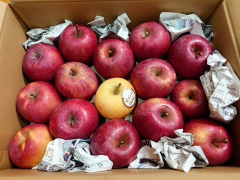 【今だけお買い得！訳あり★50%OFF★】家庭用葉とらずふじりんご3㎏【長野県産】