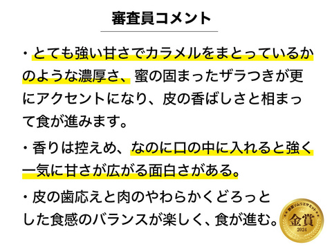 冬野菜Lセット9品目前後（農薬・化学肥料不使用）