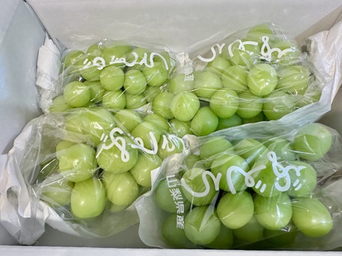 R3 山梨県産　ぶどう　シャインマスカット 2kg　朝採り産地直送 すぐ発送！💚朝採れ山梨シャインマスカット】2キロ 3～4房