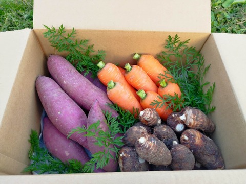人参・里芋・さつまいもセット【農薬・化学肥料 不使用】ファミリー向け