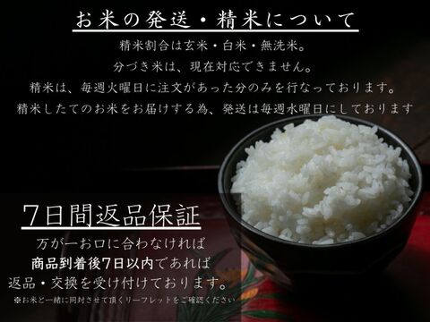 【冬ギフト】【無洗米10kg】特別栽培米！1750年から続くお米農家が作ったお米『縁起の竜王米』　滋賀県竜王町産