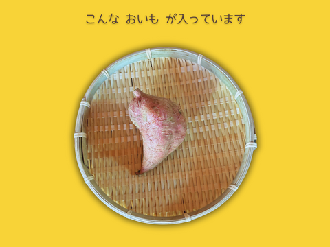 ＜訳あり・規格外＞taneco 熟成 種子島安納いも（生いも） 【Mサイズ以上・５kg】