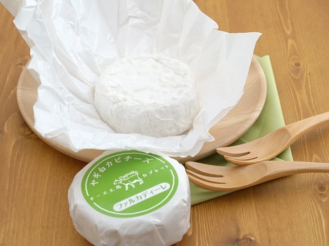 【信州産】やぎさんのミルクで作るシェーブルチーズ2種詰め合わせ【竹炭＆白カビ】