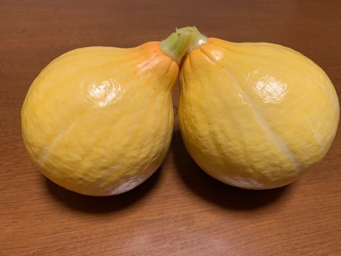 今が旬！生で食べられるカボチャ「コリンキー」２個セット（約1~1.2㎏）