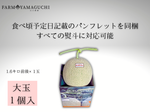 ギフトに大人気 【北海道メロン】 1玉入り　大玉