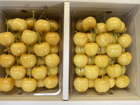 🍒さくらんぼ月山錦🍒特秀2Lサイズ　1キロ 500gパックバラ×2