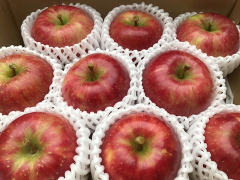 【数量限定】販売再開　葉とらず　千秋　4.5kg