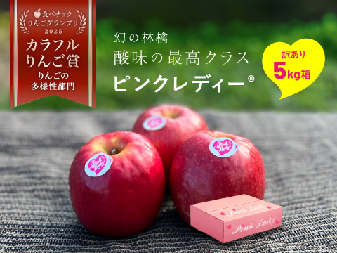 発送中🍎【ヒルナンデスでました！】ピンクレディー®︎ 5キロ訳あり品 加工用 長野県 信州 安曇野 リンゴ 幻 幻のリンゴ 予約 希少 旬 ID36611 ピンクレディー