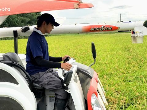 農業学校の学生と作ったお米　日本農業実践学園のミルキークイーン（白米5kg）【分搗き対応可】