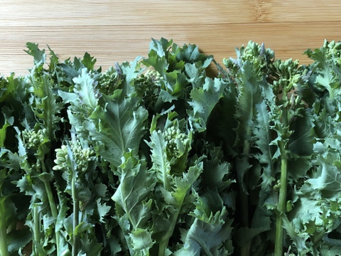 (10P)食べるブーケ [信州産] 苦くないクセがない冬菜の菜花