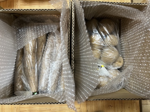 小さな長芋の大きなパワー‼️💪😤【長芋5kg】土付きで長持ち‼️