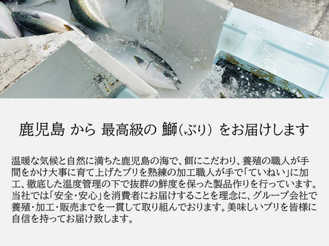 【鹿児島産ぶり冷凍】漬け焼き魚・ 照り焼き ３ｐ