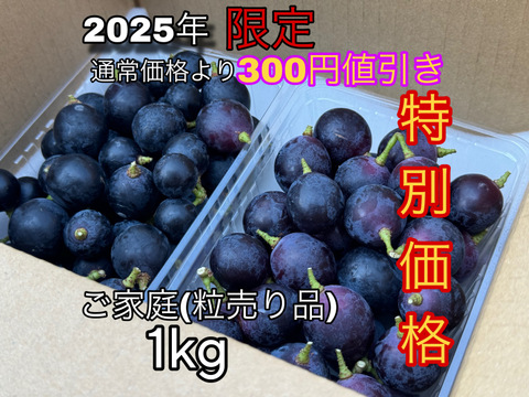 2025年【限定価格】ぶどう【ブラックビート】ご家庭用(訳あり品)粒売りパック詰め1kg 山梨県産　種なし
