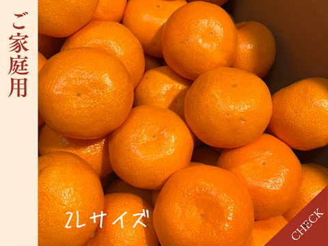 完熟有田みかん　5キロ 2Lサイズ　家庭用　温州みかん　早生　宮川早生