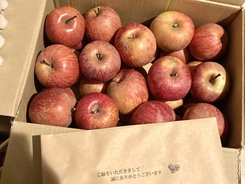 【 大特価🍎極小SSサイズ以下 】軽めのデザート・加工用  サンふじ 訳あり 24～28個 4㎏ 相当