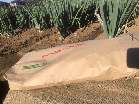 留守農場の甘くてうまい泥ネギ😋2kgと冬ごぼう2kgのセット