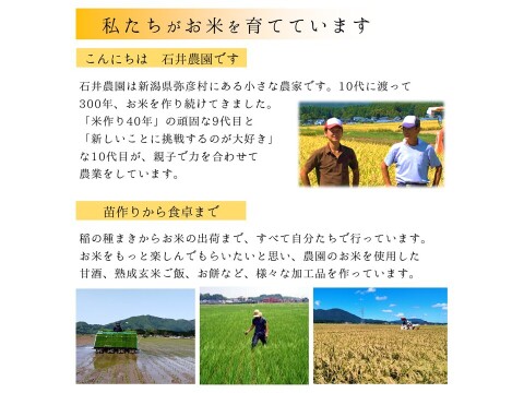 【発芽玄米餅　360g（8切入り）×8袋 】ぷちぷち食感がたまらない　新潟県弥彦村産こがねもち100%使用