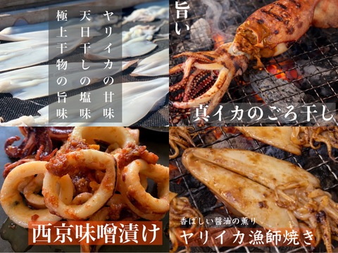 イカ４種☆豪華食べ比べセット