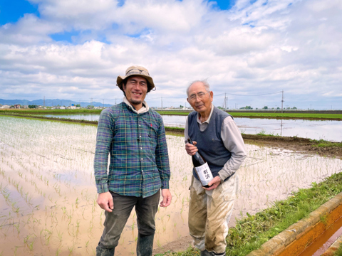 農家の日本酒！純米吟醸無濾過生原酒「新波」　直汲み ２０２４　７２０ml