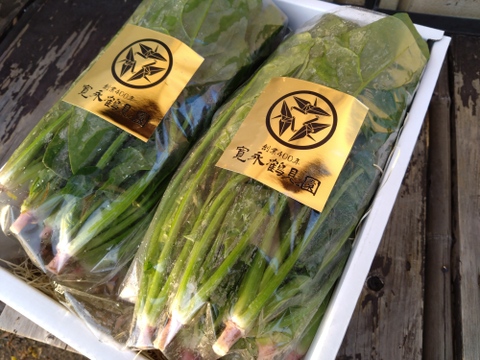 【日テレ出演で話題沸騰】💡健康志向の女性を中心にリピーター続出！極錬寒熟ホウレンソウ🥬期間限定販売！【大容量パッケージ約2キロ】【冬ギフト】