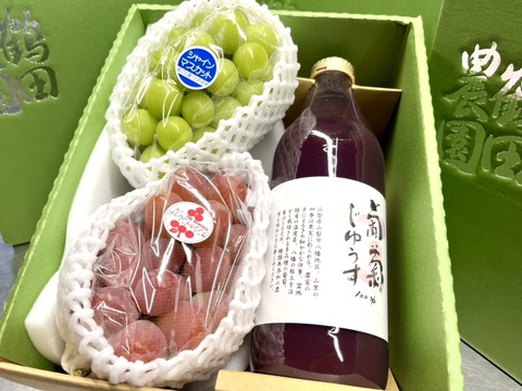 山梨県産ぶどう　シャイン　　サンシャインレッド 食べ比べセット箱込み約5.2kg 3箱限定】濃厚ぶどうジュース&赤緑ぶどう食べ比べ（希少なサンシャイン