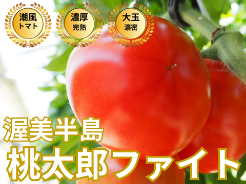 🍅美意識高い人の朝食にある🍅品種指定『桃太郎ファイト』家族の健康を支える朝のご褒美トマト☆お試キャンペーン約1kg【10月下旬予約】