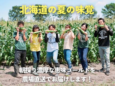 【朝採れ極甘スイートコーン】「恵味ゴールド」6本　//先行予約/2026年7月下旬より発送//