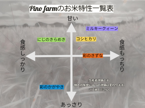 爽やかな甘みともっちりなめらかな食感
R6年産　特別栽培米彩のきずな　2㎏×1袋