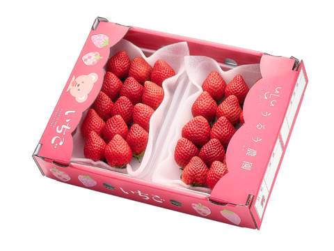 予約販売 2026年11月下旬～順次発送】あまおう苺 人気の定番サイズ