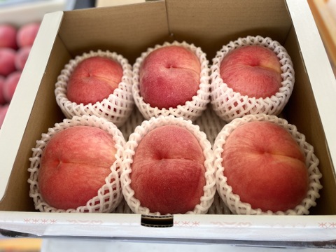Nohea様　　特大川中島白桃　5玉　紫玉の太陽2kg　ドリップ農法　EM栽培 桃の王様 特大川中島白桃 5玉 ドリップ農法 EM栽培 最後の一箱