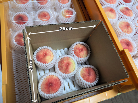 【安曇野産の桃】「あかつき」５玉セット（約1.2kg）
