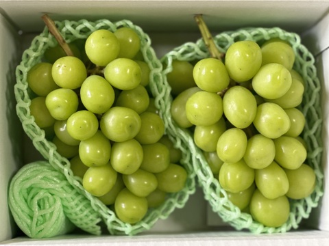 【シャインマスカット】山梨県笛吹市産！
約1.2kg（2房入り）🍇