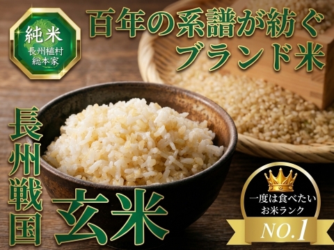 🎊今だけ1キロ増量中🎊【一度は食べたい“日本全国No.1米”】全国誌に選ばれた伝統米農家🌾百年の系譜を継ぐ名門長州植村総本家が生み出す『長州戦国玄米』新米約5㎏＋1キロ【冬ギフト】【12月中旬予約】
