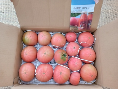 【限定】子どもも喜ぶデカウマ道産トマト（4kg箱）