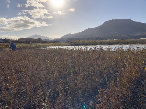 自然栽培黒千石大豆納豆10個