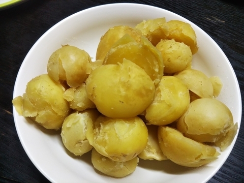 おかぴさん専用
『激レア』　タラの芽の原木１０本セット＆新じゃが２ｋｇ＆切干大根２パック
合わせ買いありがとうございます。
タラの芽は自宅で育てるマニュアル付きです。