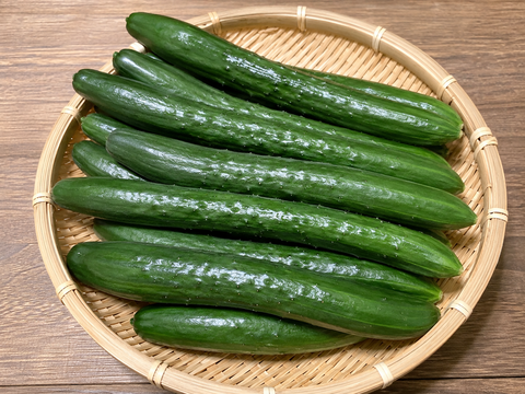 朝どれキュウリ