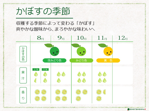 超便利な種無しかぼす 4kg（約35～55個）