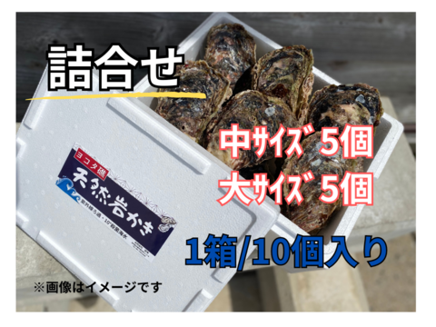 【夏期限定】ヨコタ礁天然岩牡蠣_生食用（中5個、大5個）詰合せ