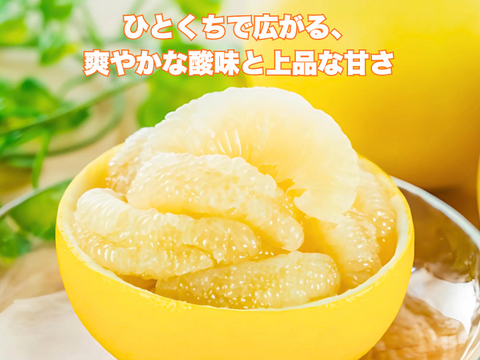 【完熟の証】低温貯蔵 土佐文旦 訳あり大玉5kg｜風味が際立つ食べ頃・日本ギフト大賞受賞・文旦発祥の地 ・高知県土佐市産 ・やの一果彩