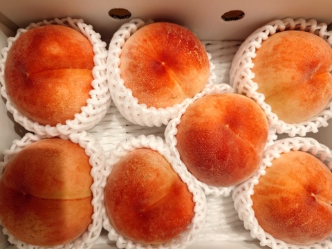 桃名人厳選　桃【ご家庭用　訳あり商品】白桃約2ｋｇ(5-9玉）