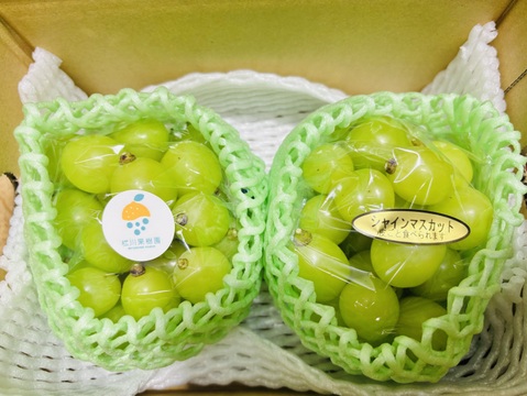 【夏ギフト】期間限定！シャインマスカット粒セット（400g×2袋・合計800g）