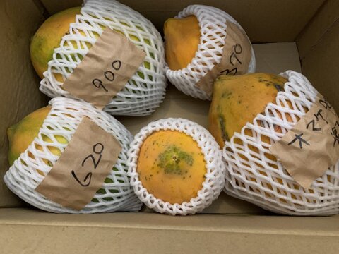 【訳ありお買い得❗️】フルーツパパイヤ２キロ（栽培期間中農薬不使用）