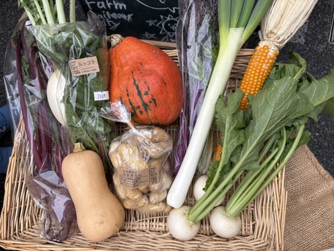 【贈り物にも！】菊芋入り/彩り豊かな野菜の秋冬野菜10種類前後/めずらしい野菜も入ってるかも？【農薬・化学肥料不使用】