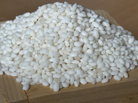 【令和7年新米】北海道産 はくちょうもち 5kg(精米)