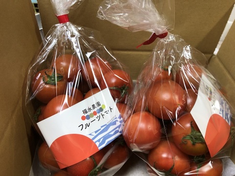 フルーツトマトお試しタイプ　ご家庭用に袋でお届け。　約900gを2袋