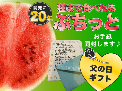 【父の日ギフト】種ごと食べれる！アレンジもしやすいスイカ『ぷちっと』（1玉：約4人分）　メッセージカード付き