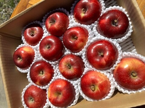 小玉べにこはく！【スマートフレッシュりんご家庭用約3ｋｇ×2箱】（玉数指定不可）